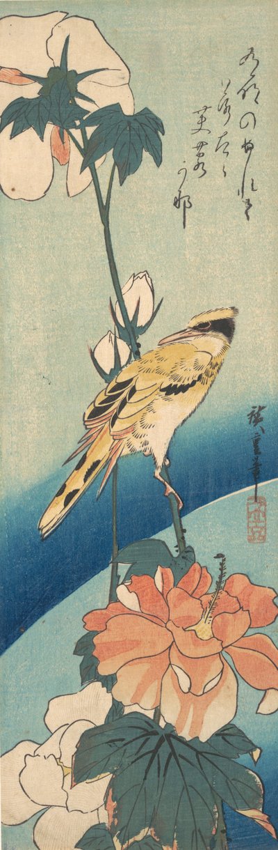 Ein Schwarznackenpirol auf einem Hibiskusstängel, ca. 1834 von Ando Hiroshige