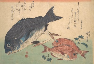 Kurodai und Kodai Fisch mit Bambussprossen und Beeren, aus der Serie Uozukushi Every V... von Ando Hiroshige