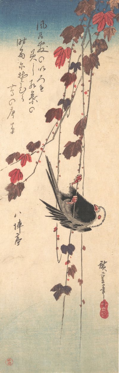 Schwanzmeise auf Herbst-Efeu von Ando Hiroshige