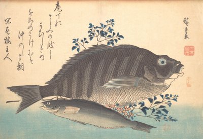 Shimadai und Ainame Fisch, aus der Serie Uozukushi Jede Fischart, 1840er von Ando Hiroshige