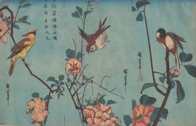 Meise und Kamelien rechts, Spatz und Wildrosen in der Mitte, und Schwarzrückenpirol..., ca. 1833. von Ando Hiroshige