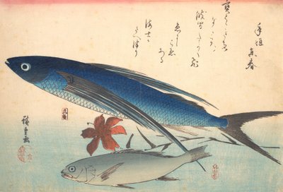 Tobiuo und Ishimochi-Fisch, aus der Serie Uozukushi Jede Fischart von Ando Hiroshige