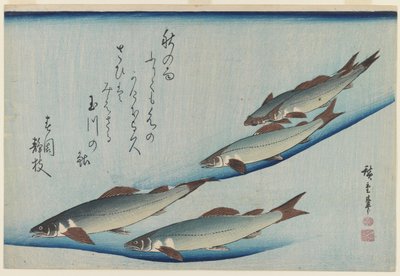 Schule von fünf Meerforellen, Edo-Zeit (Farbholzschnitt auf Papier) von Ando or Utagawa Hiroshige