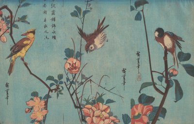 Meise und Kamelien, Spatz und Wildrosen und Schwarzkehlchen und Kirschblüten von Ando or Utagawa Hiroshige