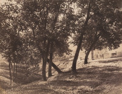 Bäume, um 1855 von André Giroux