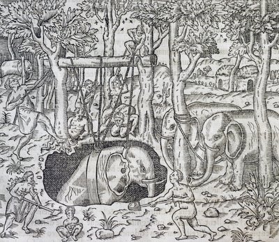 Elefantenjagd auf der Insel Java, Stich aus 
