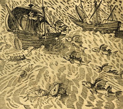 Fliegende Fische in tropischen Meeren, Gravur aus Cosmographie Universelle, von Andre