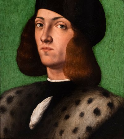 Porträt eines jungen Mannes (Detail) von Andrea Previtali