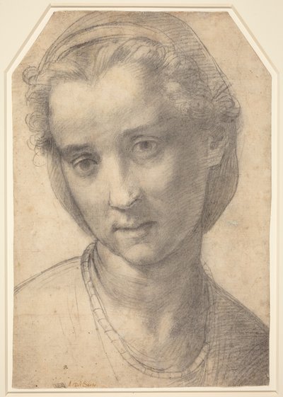  von Andrea del Sarto