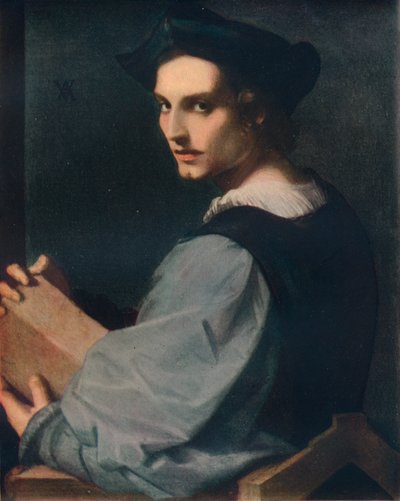 Porträt eines jungen Mannes, ca. 1517, 1911 von Andrea del Sarto