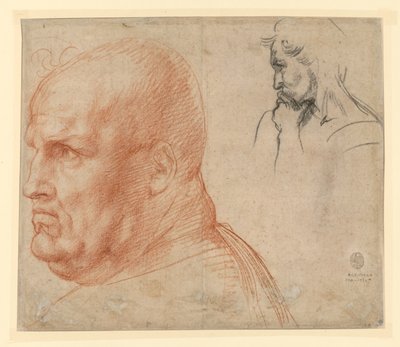 Studie zu zwei Köpfen von Andrea del Sarto