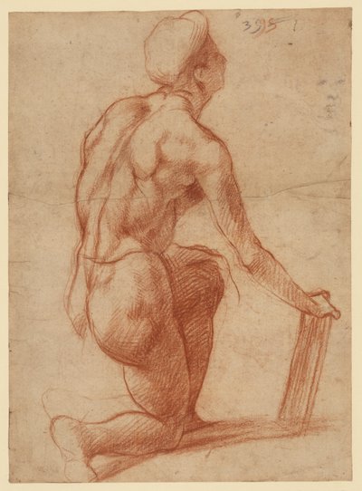  von Andrea del Sarto