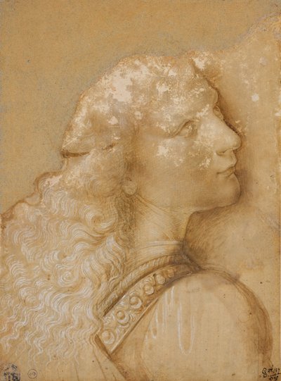 Büste eines jungen Mannes, Studie für den Engel der „Taufe Christi“ von Verrocchio, ca. 1475 von Andrea del Verrocchio