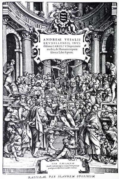 Titelseite der zweiten Ausgabe von De Humani Corporis Fabrica, Tafel 3, 1555 von Andreas Vesalius