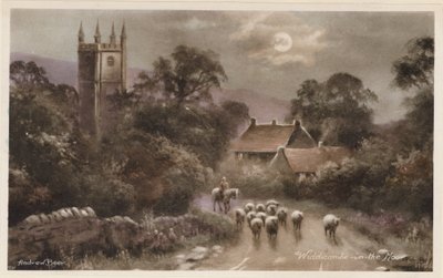 Dartmoor: Widdicombe-in-the-Moor von Andrew Beer