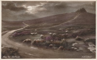 Hay Tor, Dartmoor von Andrew Beer