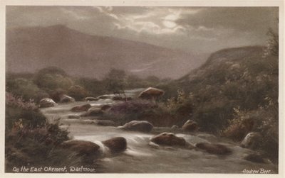 Am East Okement, Dartmoor von Andrew Beer