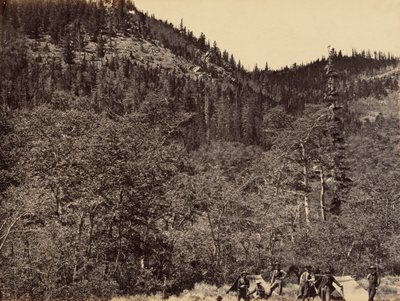 Tafel 19. Unter den Bäumen am Kopf des Little Laramie River, 1869 von Andrew Joseph Russell