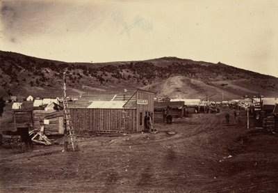 Tafel 29. Bear River City, nahe den Kohlefeldern, 1869 von Andrew Joseph Russell