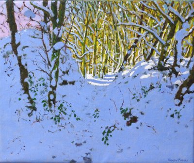 Pfad durch den Wald im Winter, Derbyshire von Andrew Macara