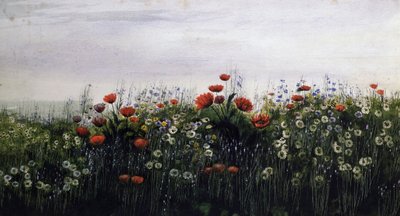 Sommerblumen. Gemälde von Andrew Nicholl (1804-1886) Privatsammlung. von Andrew Nicholl