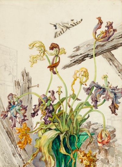 Tulpen von Andrey Avinoff