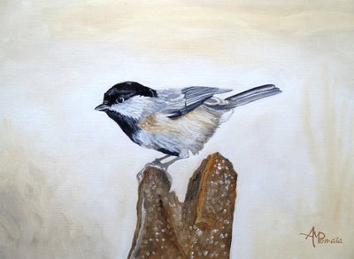 Meise auf Holzstumpf von Angeles M. Pomata