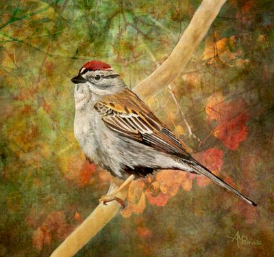 Spatz auf Herbstlichem Ast von Angeles M. Pomata
