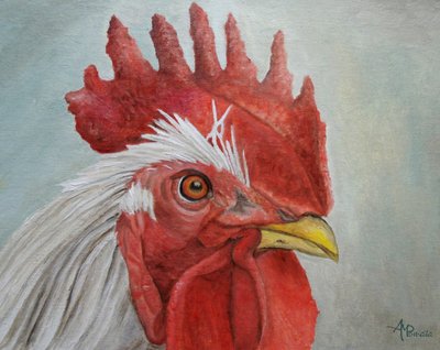 Bunter Hahnkopf von Angeles M. Pomata