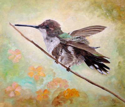 Kolibri auf Zweig von Angeles M. Pomata
