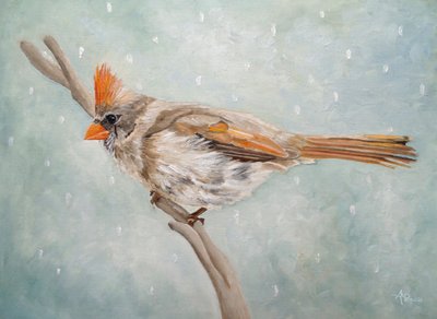 Friedlicher Winterkardinal von Angeles M. Pomata