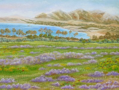 Frühlingswiesenbucht von Angeles M. Pomata