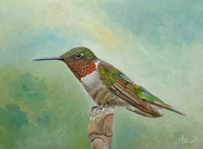 Leuchtender Kolibri auf Ast von Angeles M. Pomata