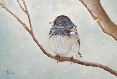 Winter-Juncovogel von Angeles M. Pomata