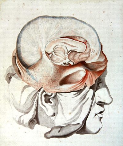 Der Schädel, aus 