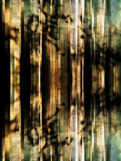 Abstrakte Waldschatten von Angelo Cerantola