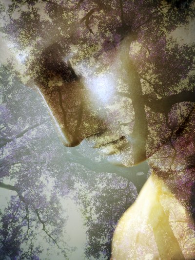 Ätherisches Waldprofil von Angelo Cerantola