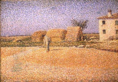 Korn in der Sonne von Angelo Torchi
