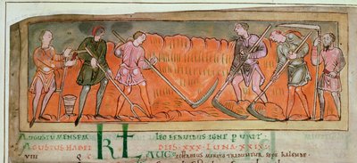 Ernte, aus einem Kalender (Detail) von Anglo Saxon