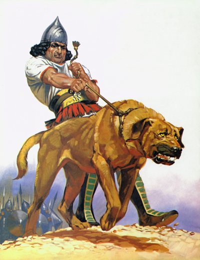 Assyrischer Kampfhund von Angus McBride