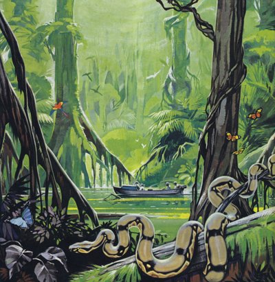 Erkundung des Amazonas von Angus McBride