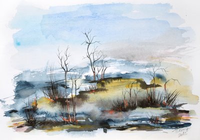 Nebliger Herbstsumpf von Aniko Hencz