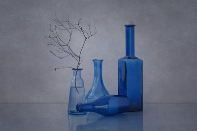 Blaue Flaschen und Zweige von Anna Klinkosz
