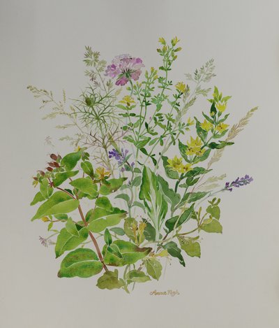 Blumen Stillleben 4, 2021 von Anna Pugh