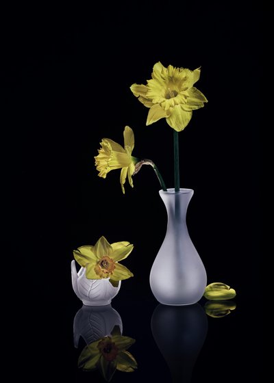 von Anna Qu