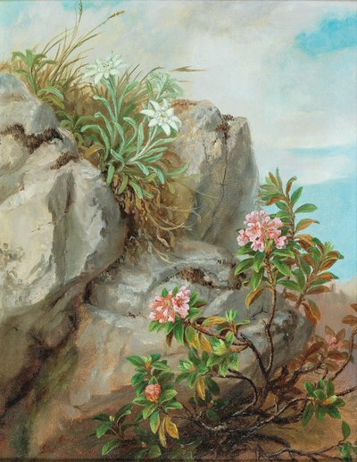Alpenrosen von Anna Stainer-Knittel