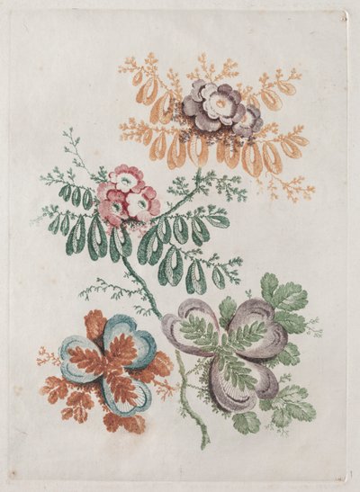 Neue Suite von Blumenportfolios ideal zum Entwerfen und Malen: Blumenfantasien von Anne Allen