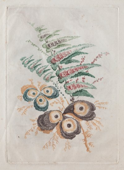 Neue Suite von Blumenportfolios ideal zum Entwerfen und Malen: Blumenfantasien von Anne Allen