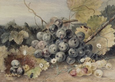 Trauben und Erdbeeren von Anne Frances Byrne
