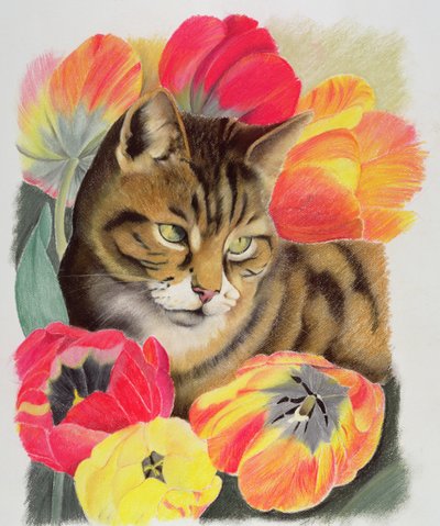 Gestreift und Tulpe von Anne Robinson